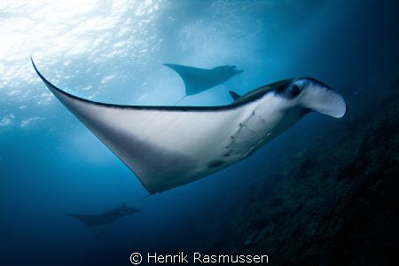 Picture taken at Manta-Point in Lembongang 2012. 
Tokina... by Henrik Rasmussen 