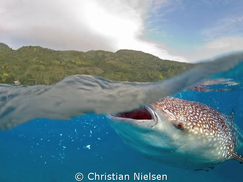 Split shots are difficult, but this one I think turned ou... by Christian Nielsen 
