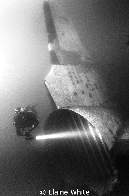 Tail from the passenger plane from different angle by Elaine White 