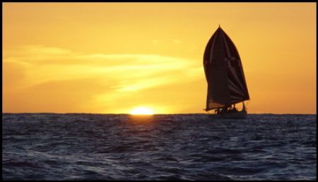 On the way to do a night dive in Waikiki. What could be b... by Glenn Poulain 