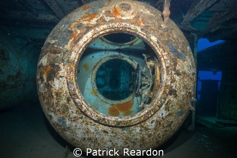 The "eye" of the Kittiwake. by Patrick Reardon 