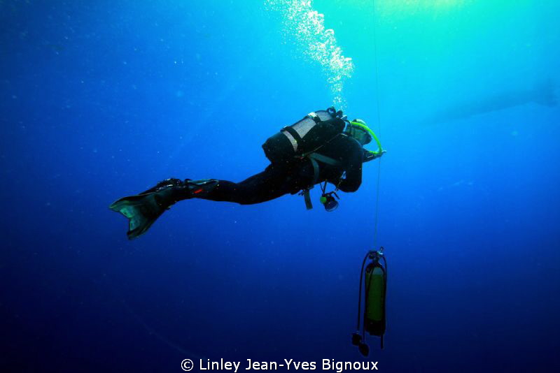 After a 15 minute stop on Nitrox deco.This max 65 metre d... by Linley Jean-Yves Bignoux 
