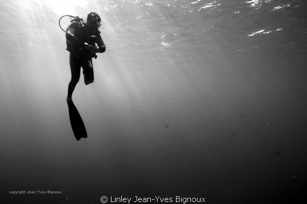 Canon 7D-Rempart Serpent .Natural light sinks into the va... by Linley Jean-Yves Bignoux 