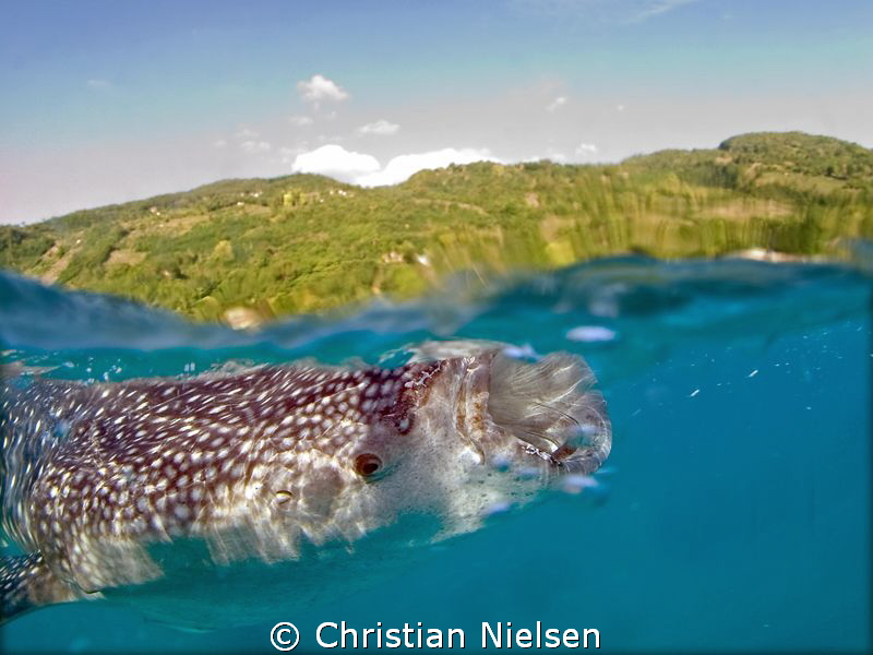 Another attempt of a split shot by Christian Nielsen 