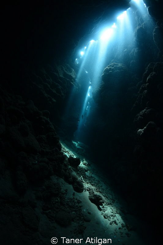 jackfish alley stuff by Taner Atilgan 