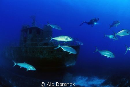 Pınar1 ship wreck and jacks from Bodrum / Turkey by Alp Baranok 