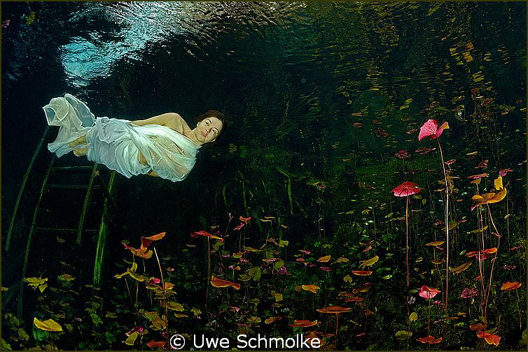 In a gadda da vida by Uwe Schmolke 