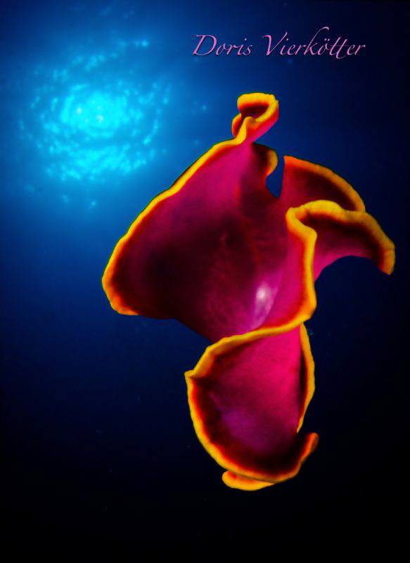 Nudi in the sun by Doris Vierkötter 