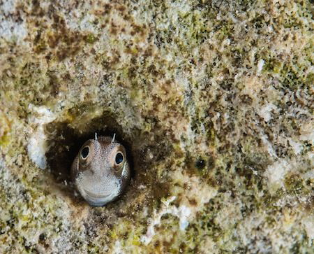 Smile for the camera.
 by Tony Neal 