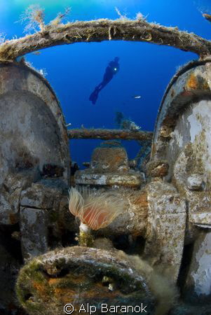 Pinar1 ship wreck  from Bodrum / Turkey by Alp Baranok 