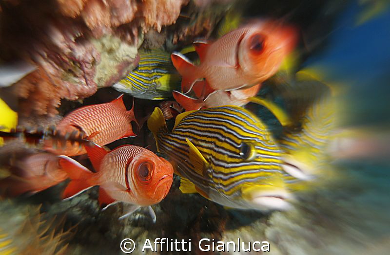 mix...... by Afflitti Gianluca 
