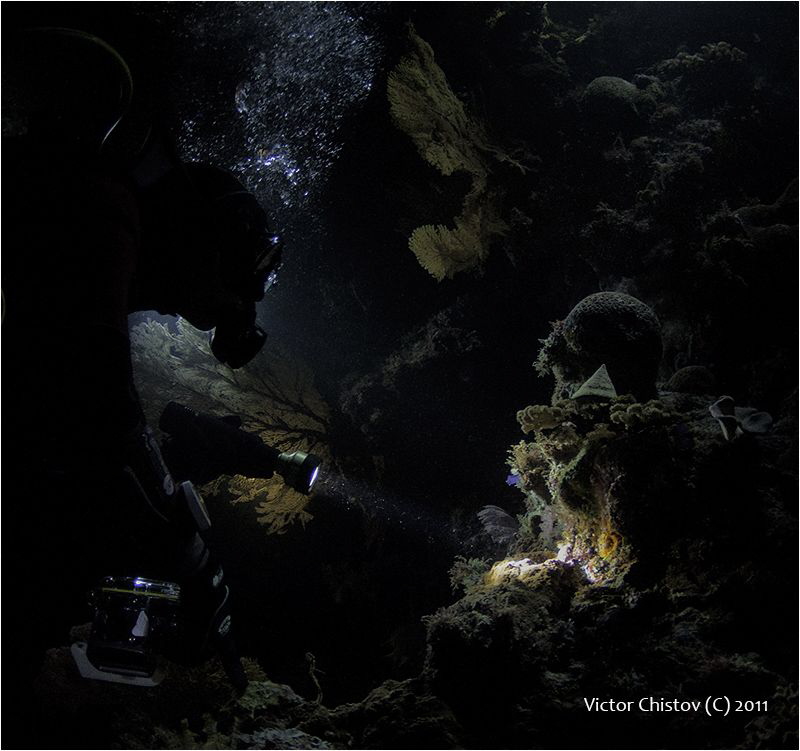 Hunter of treasures
ISO 3200, No strobes by Victor Chistov 
