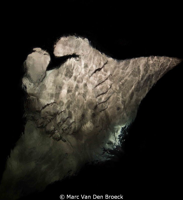 from the surface by Marc Van Den Broeck 