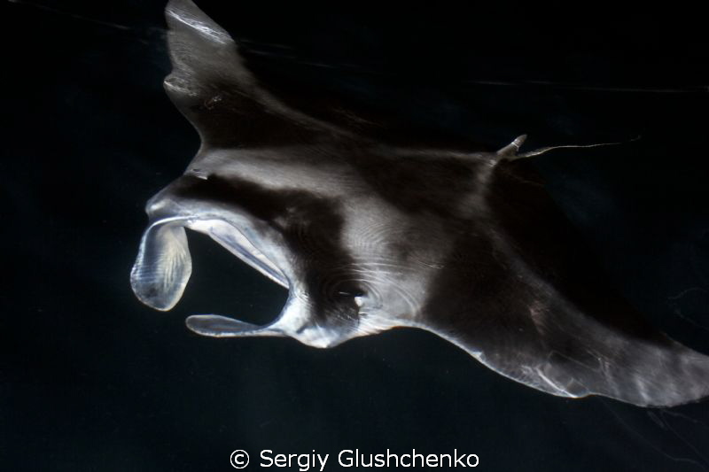 ... by Sergiy Glushchenko 