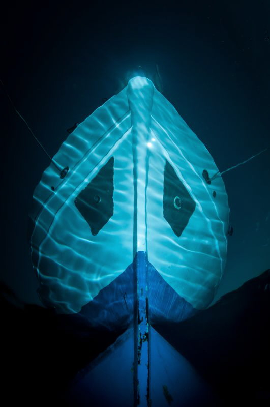 a top side image shot from just below the surface, shooti... by Paul Colley 