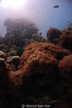 et eilat by Nimrod Ben Hur 