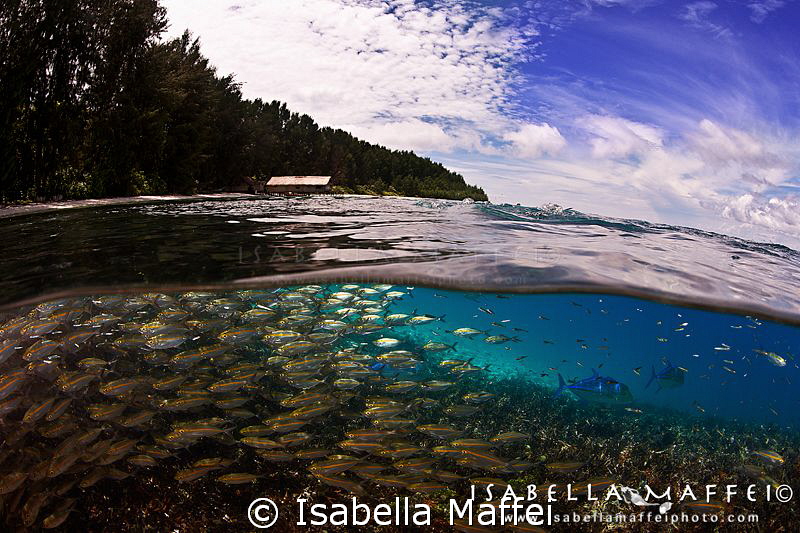 "MIDDLE LAND" by Isabella Maffei 