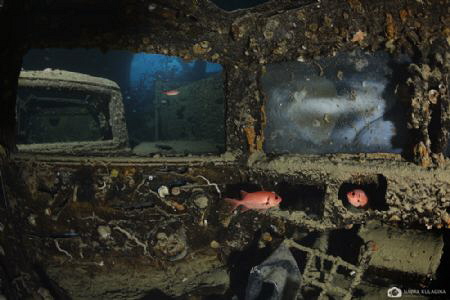 Life in a glove compartment by Nadya Kulagina 