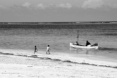 Roatan, Honduras. by Shawn Jackson 