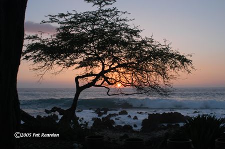 Sunset on the Big Island, Hawaii. by Patrick Reardon 