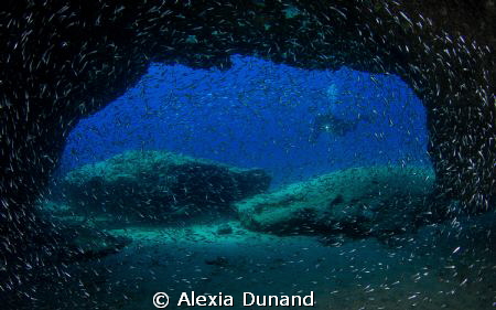 Diving in La Graciosa, part of Europe's largest marine re... by Alexia Dunand 