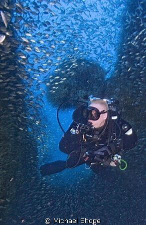 Diver swimming through the stern section of the Aeolus wr... by Michael Shope 