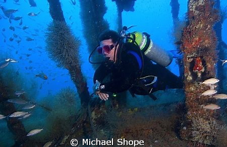In honor of breast cancer awareness this October my dive ... by Michael Shope 