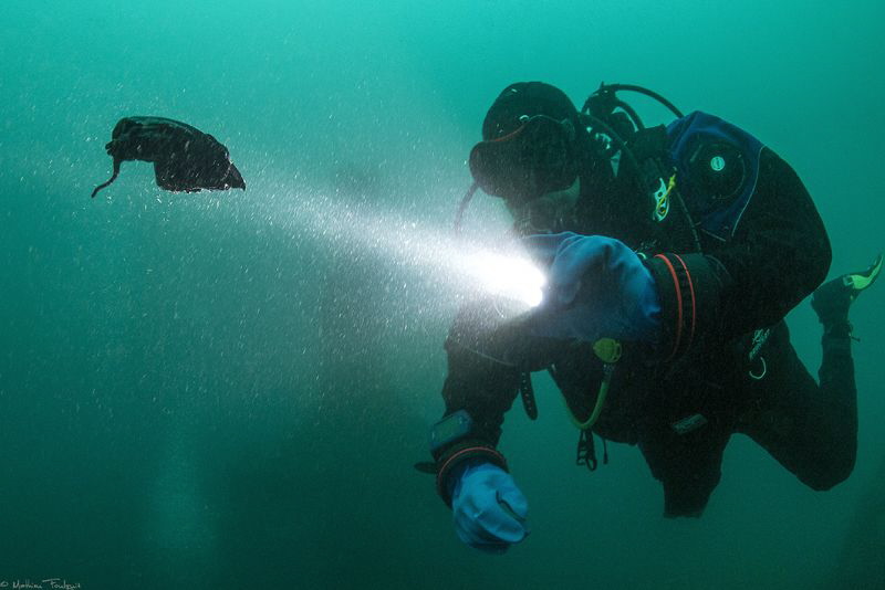 oil leak on El Grillo by Mathieu Foulquié 