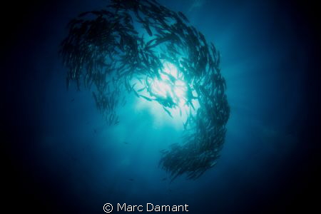 Burst of Jacks! by Marc Damant 