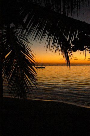 Roatan, Honduras. by Shawn Jackson 