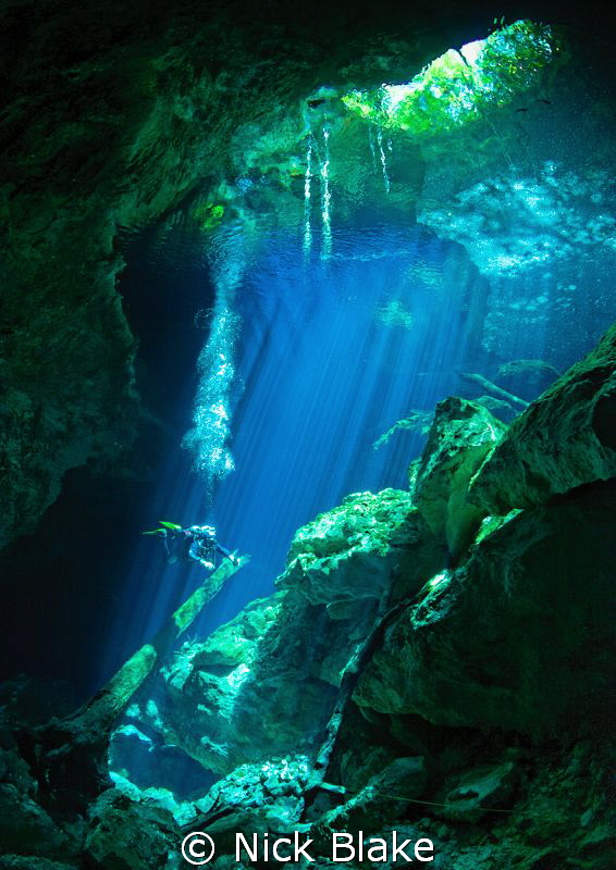 A shot from Taj Maha Cenote, Yucatan, Mexico by Nick Blake 