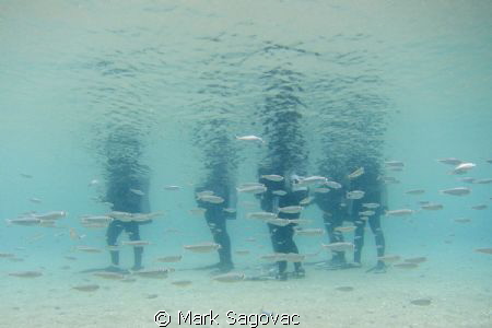 Training Class by Mark Sagovac 