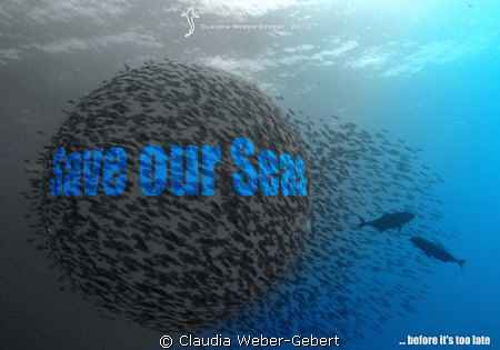 ....before it's too late! by Claudia Weber-Gebert 
