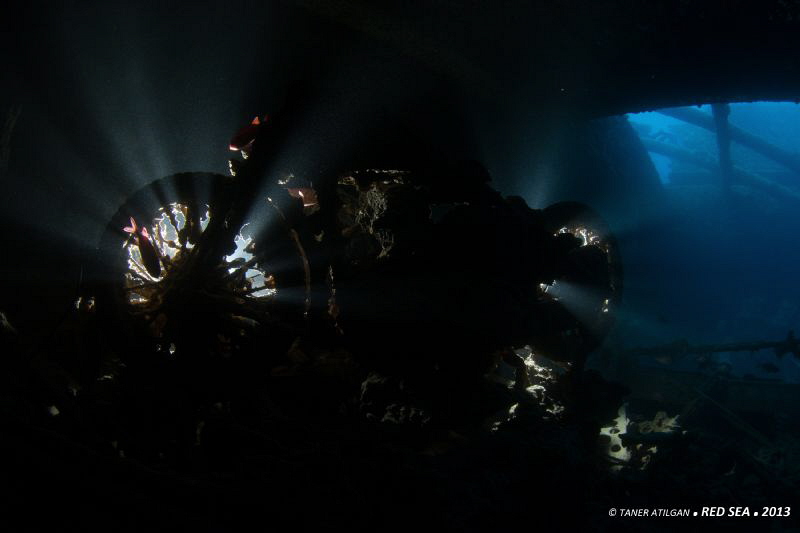 Motorcycle from SS Thistlegorm by Taner Atilgan 