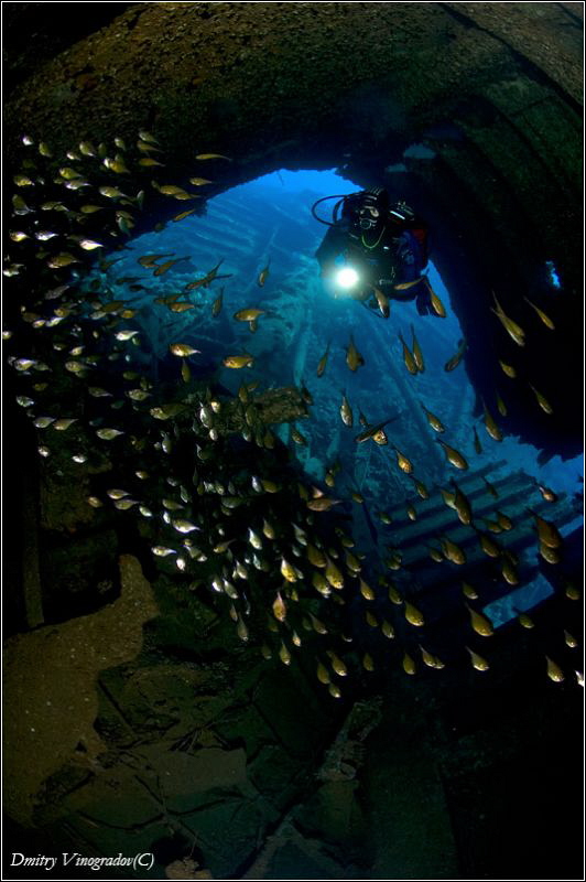 Abu Nuhas reef. Kimon-M by Dmitry Vinogradov 