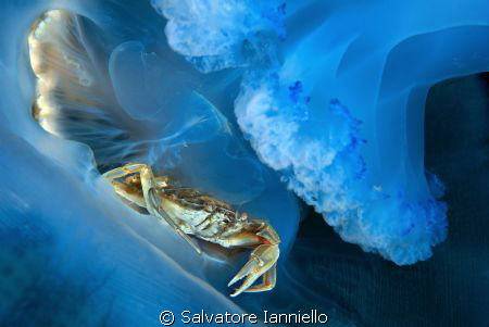 hitchhiking by Salvatore Ianniello 