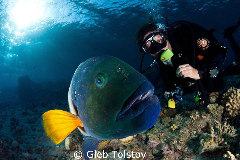 Friends by Gleb Tolstov 