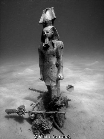 Tutankhamon is still alive and he's diving in the Red Sea... by Cinzia Bismarck 