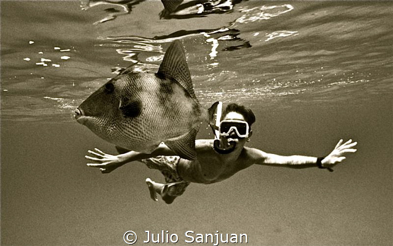 Meeting with triggerfish by Julio Sanjuan 