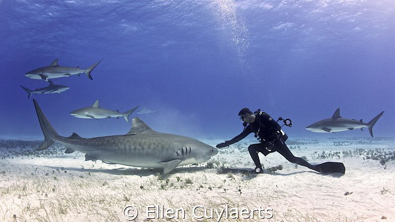 On precious planet Earth, change is needed. Sometimes peo... by Ellen Cuylaerts 