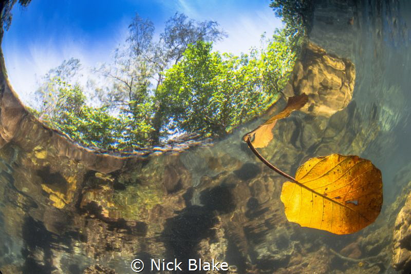 View through Snell's Window.
Lembeh Straits, Indonesia. by Nick Blake 