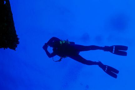 Diver swimming over the wreck of the Jane C. Nikonos V, 2... by Matthew Shanley 