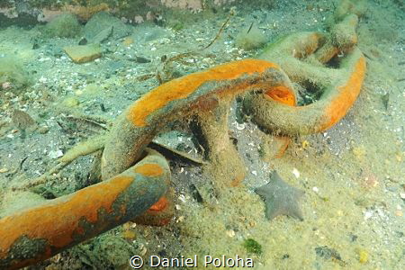 Old chain lives new life as boat mooring by Daniel Poloha 