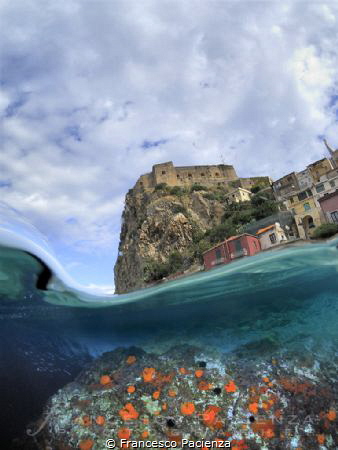 [:b:]Scilla[:/b:] by Francesco Pacienza 