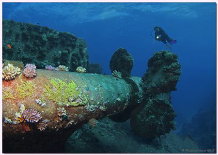 Wreck of the AL KAHFAIN, Safaga, Egypt by Reinhard Arndt 