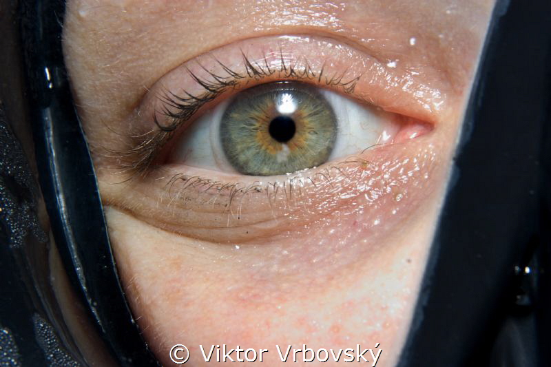 Proposal of a new category: Macro - Divers :-) by Viktor Vrbovský 