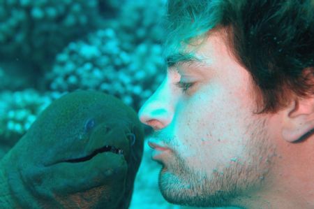 Sweet Kisses! Moorea, 2005. by Tom Blackburn 