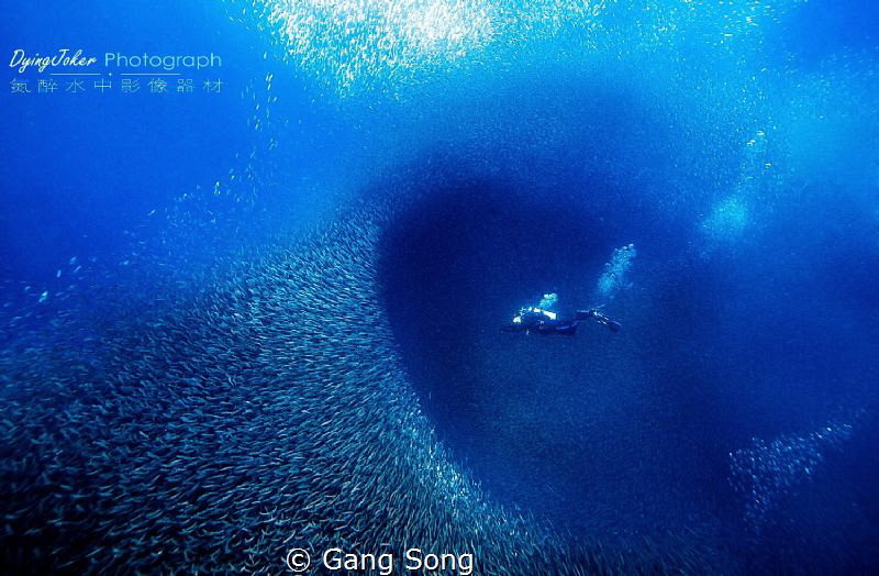 Deep impact by Gang Song 
