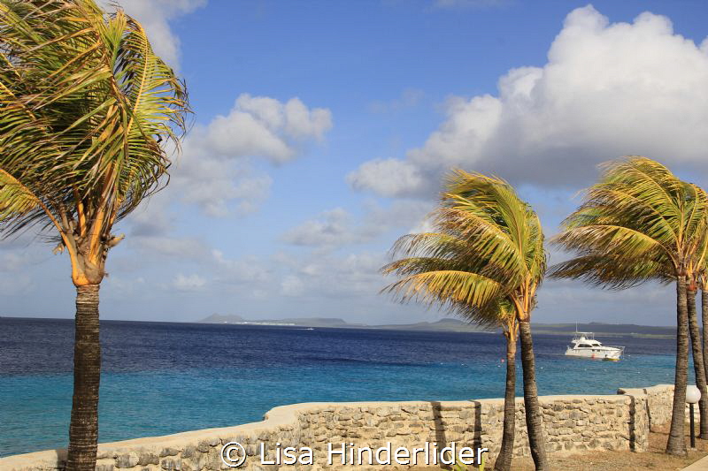 Breeze over Bari. by Lisa Hinderlider 