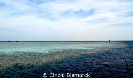 "EAST JACKSON REEF" by Cinzia Bismarck 